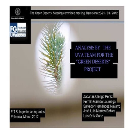 Project Green Deserts Analysis Report 