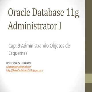 Objetos de Esquema de Oracle Databa...
