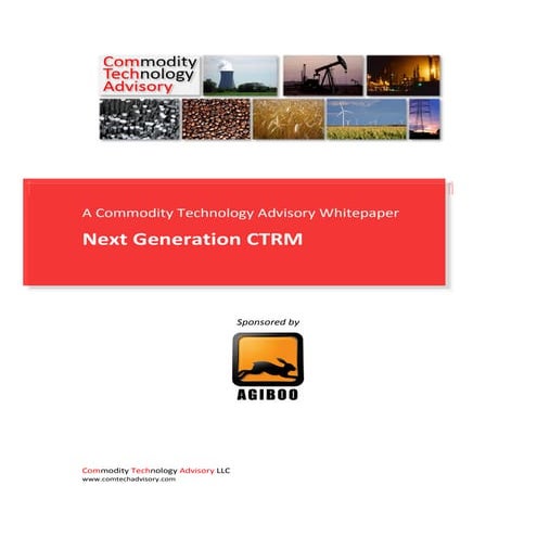 Next Generation CTRM