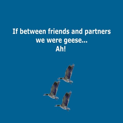 Za-teamwork lesson from geese for humans.pptx
