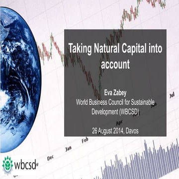 Zabey_WBCSD_Davos_26Aug2014 (1)