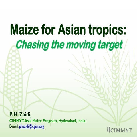 Maize for Asian tropics: Chasing the moving target