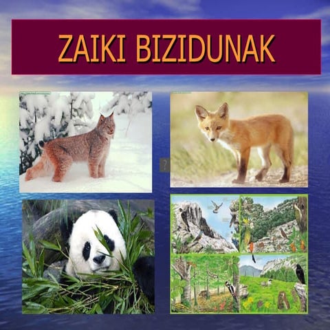 Zaiki bizidunak irune-2