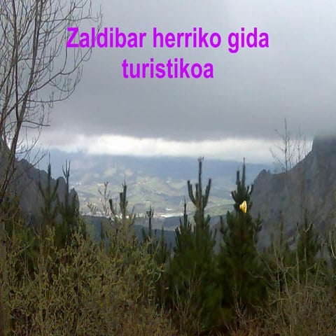 Gida turistikoa | ODT
