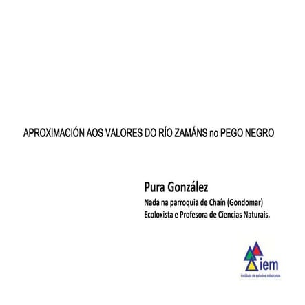 APROXIMACIÓN AOS VALORES DO RÍO ZAMÁNS no PEGO NEGRO