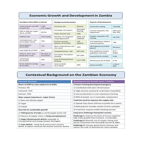 Zambian Economy Focus