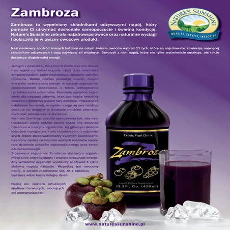 Zambroza broszura (pl) | PDF