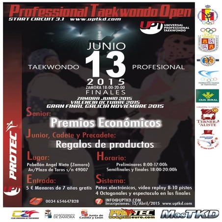 Profesional Taekwondo Open. Zamora 