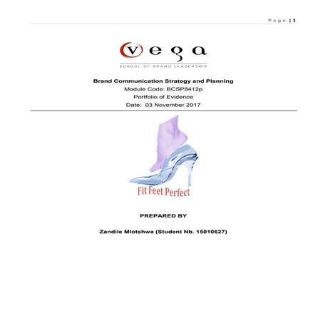 Brand Communication Strategy and Planning Portfolio Portfolio | PDF