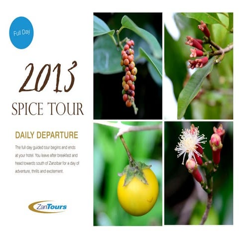 Spice Tour