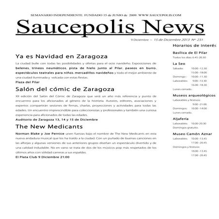 Zaragoza turismo 231