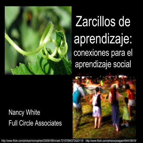 Zarcillos de aprendizaje: conexiones para el aprendizaje social