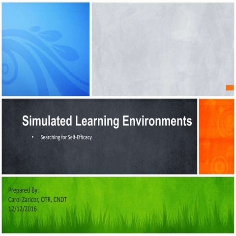 Simulated Learning Environments