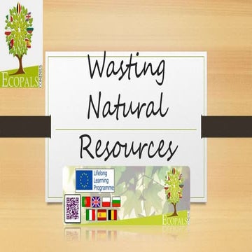 Wasting Natural Resources- 2  Poland