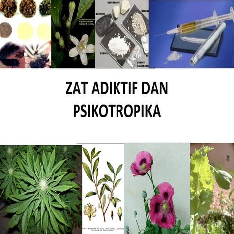 Zat adiktif-dan-psikotropika kelas 8