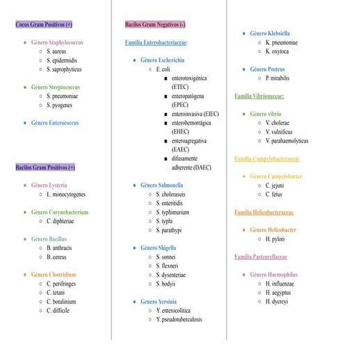 Bacterias_Microbiologia_.PDF aeiou 12345567789w99e