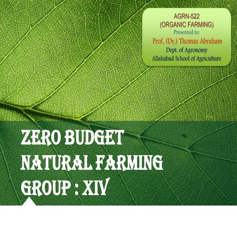 ZERO BUDGET NATURAL FARMING