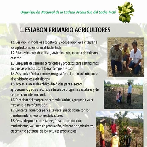 Presentación primer encuentro regional