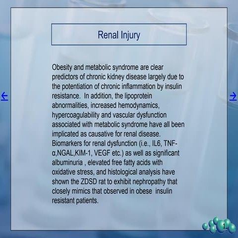 PreClinOmics - ZDSD Diabetic Nephropathy
