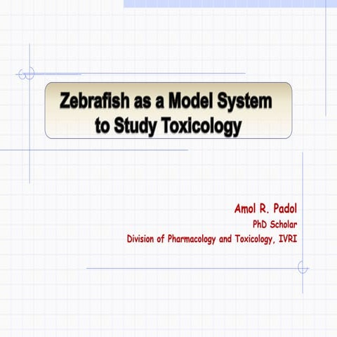 Zebrafish as a model system to study toxicology