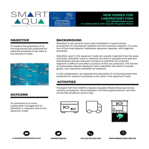 Lumpfish Welfare Chart job aid | PDF