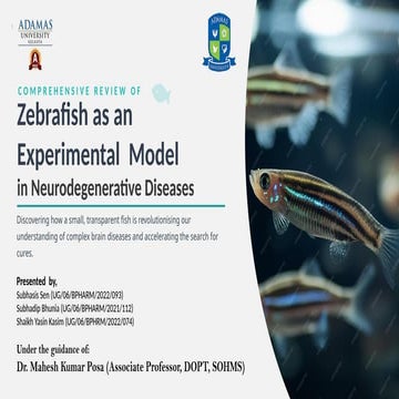 Zebrafish as a Revolutionary Model for Neurodegenerative Disease ...