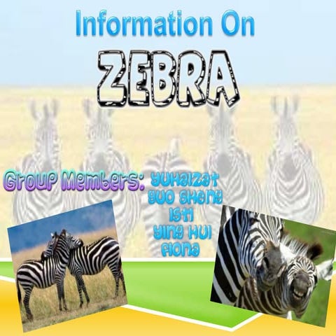 Zebra Group 2E3