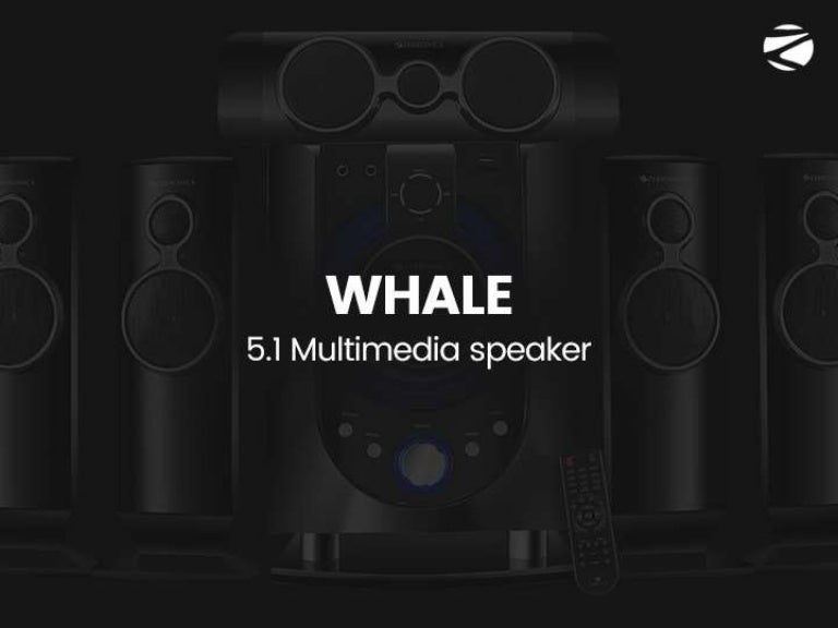 zebronics shark 5.1