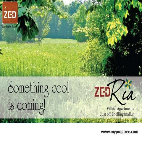 Zed ria presentation