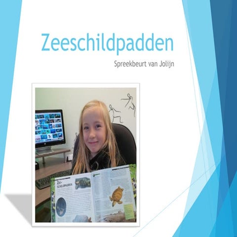 Zeeschildpadden Jolijn Vekeman