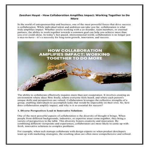 Zeeshan Hayat - How Collaboration Amplifies Impact - Working Together to Do M...