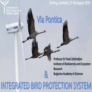 Via Pontica and Integrated Bird Protection System in Kaliakra, NE ...