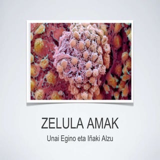 Zelula amak-zuzenketak.ppt