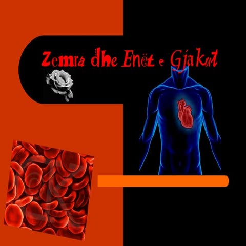Zemra dhe enët e gjakut (Biologji)