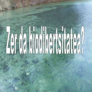 Zer Da Biodibertsitatea