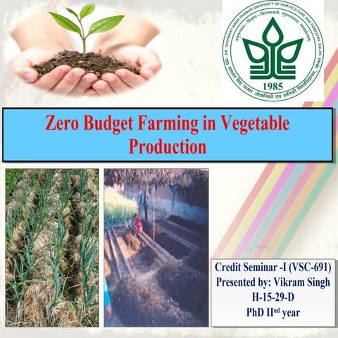 Zero budget farming in vegetable production