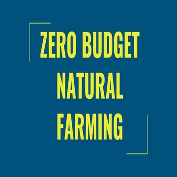 Zero Budget Natural Farming