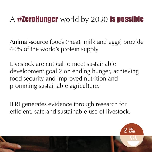 Generating research-based evidence for better lives through livestock