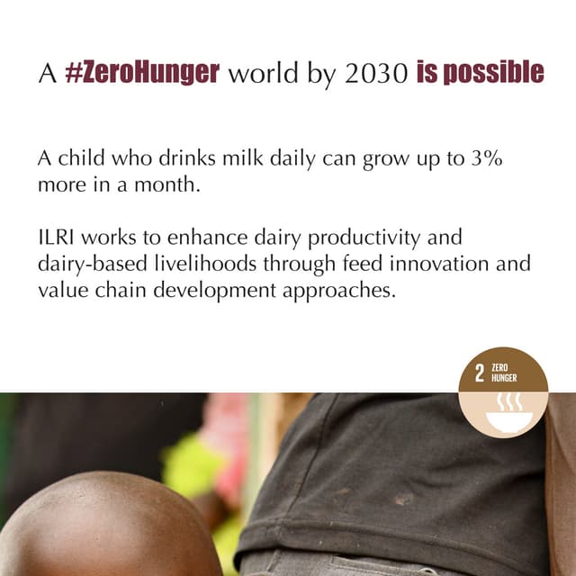 Enhancing dairy productivity and dairy-based livelihoods