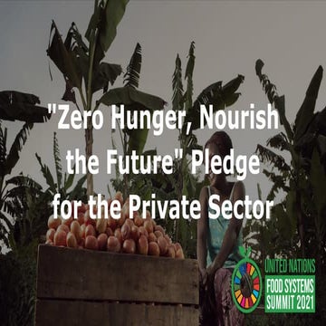 Towards a Zero Hunger, Nourish the Future Pledge for the Private Sector