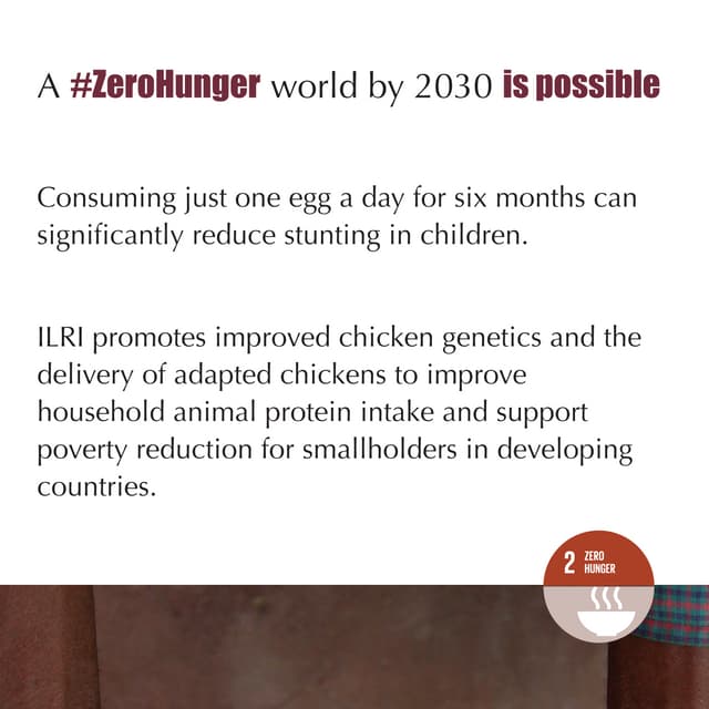 Improving household animal protein intake 