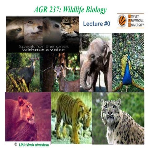 wildlife biology