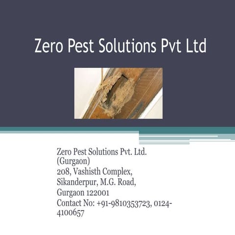 Zero pest solutions pvt ltd