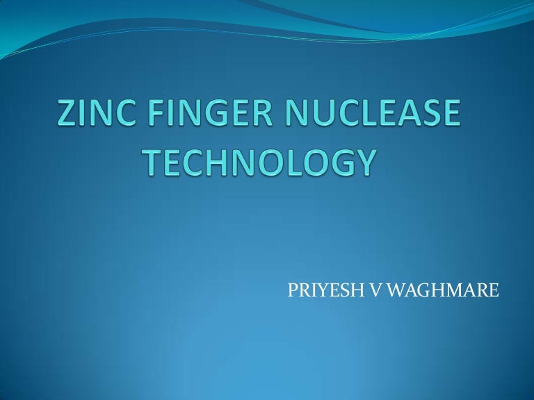 ZINC FINGER NUCLEASE TECHNOLOGY