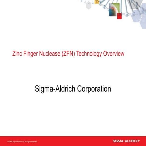 Zfn Technology Overview