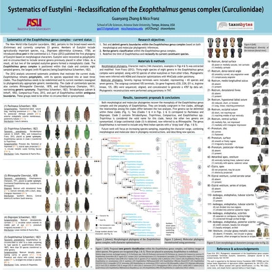 New Species of Chewing Lice (Phthiraptera: Amblycera, Ischnocera) of ...