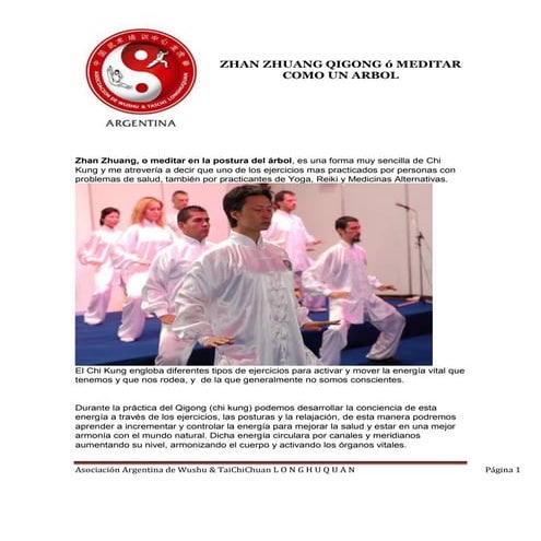 Zhan zhuang o meditar como un arbol