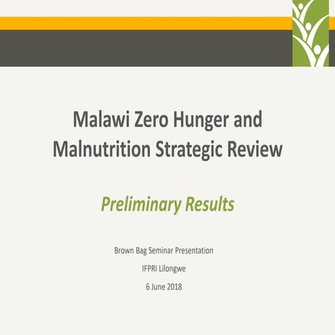 Preliminary results: Malawi Zero Hunger and Malnutrition Strategic Review