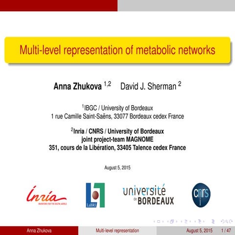 Multi-level representation of metabolic networks. | PPT