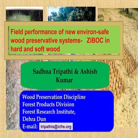Ziboc wst conference 2011 | PPT